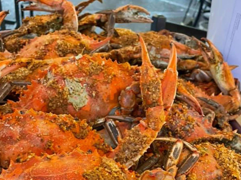 Maryland Mallet Crabs